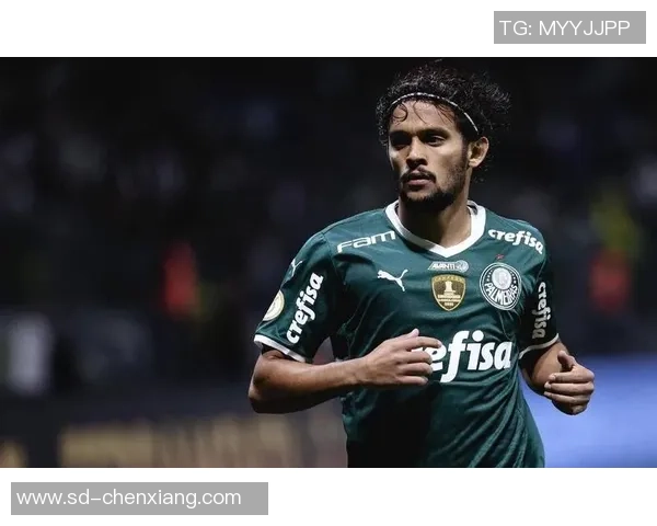 博塔弗戈与瓦斯科达伽马精彩对决直播全程回顾与分析