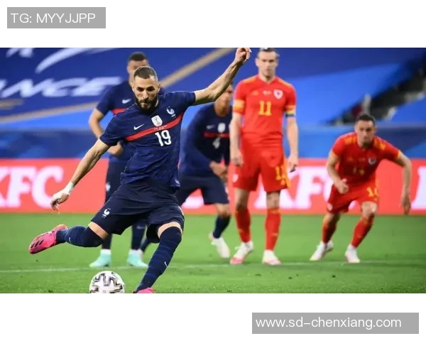 比利时与威尔斯比赛波胆赔率最新查询及分析