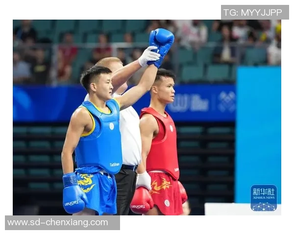 12日前，去嘉鱼看全国功夫散打冠军赛！